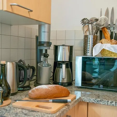 Panorama & Kaiser Franz Josef I Im Schiller アパート *