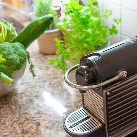 Panorama & Kaiser Franz Josef I Im Schiller アパート バードガシュタイン