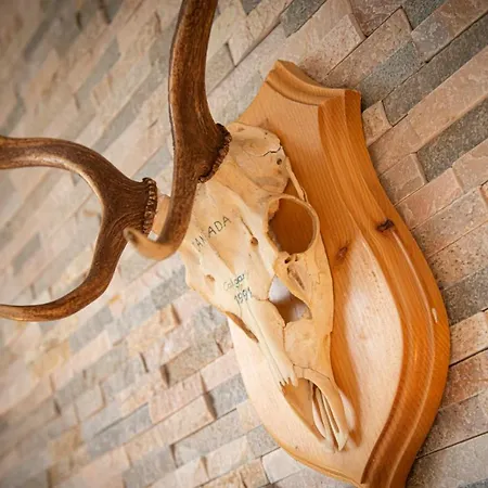 Panorama & Kaiser Franz Josef I Im Schiller *