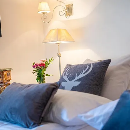 Panorama & Kaiser Franz Josef I Im Schiller アパート *