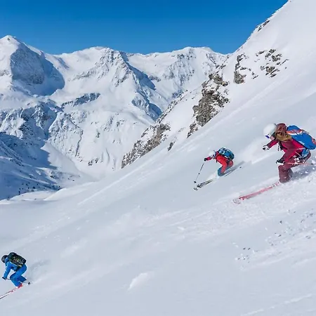 Panorama & Kaiser Franz Josef I Im Schiller アパート バードガシュタイン
