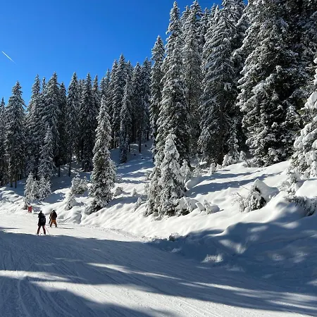 アパート Panorama & Kaiser Franz Josef I Im Schiller バードガシュタイン